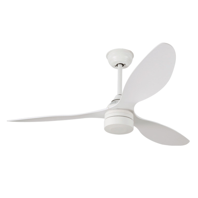 Izyfan ventilateur de plafond économique et performant